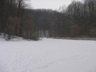 Лисогора з panoramio.com