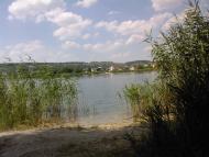 Великі Дмитровичі з panoramio.com