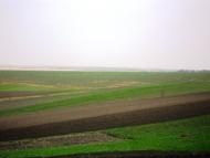 Сальниця з panoramio.com