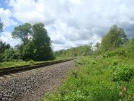 Балакиры - Последние фото