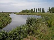 Леніна з panoramio.com