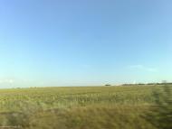 Широке з panoramio.com