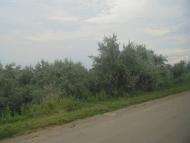 Сонячне з panoramio.com