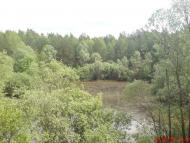 Макове з panoramio.com