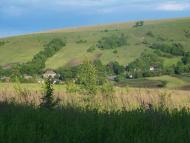 Квіткове з panoramio.com