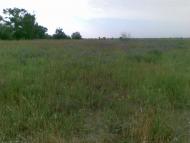 Єлизаветівка з panoramio.com