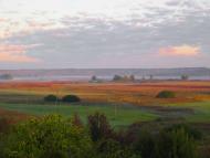 Рожаївка з panoramio.com