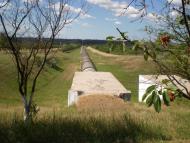 Скворцове з panoramio.com