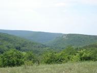 Міжгір'я з panoramio.com