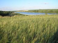 Тернівка з panoramio.com