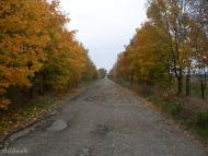 Перехрестя з panoramio.com