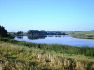 Головеньки з panoramio.com