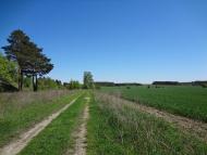 Макове з panoramio.com