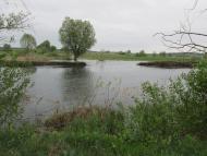 Дмитрівка з panoramio.com