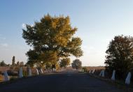 Леніна з panoramio.com