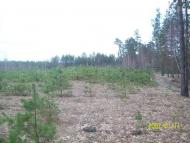 Осницьк з panoramio.com