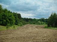 Грушківка з panoramio.com