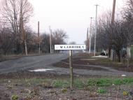 Миколаївка Перша з panoramio.com
