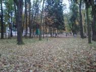 Гриців з panoramio.com