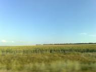 Широке з panoramio.com