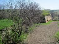 Чернелиця з panoramio.com