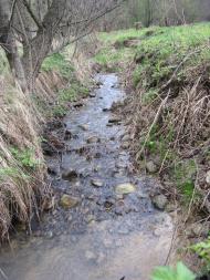 Тязів з panoramio.com