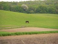 Вілька-Садівська з panoramio.com
