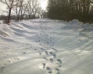 Войковський з panoramio.com