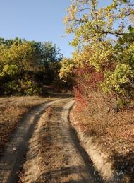 Фронтове з panoramio.com