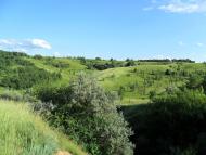 Стримівка з panoramio.com