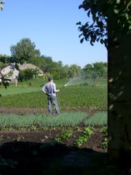 Черниш - Останні фото