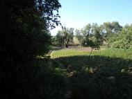 Піски-Удайські з panoramio.com