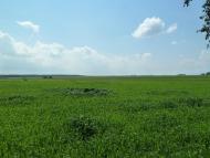 Кураж з panoramio.com