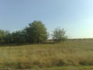 Широке з panoramio.com