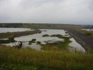 Кропивник з panoramio.com