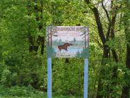 Рихли з panoramio.com