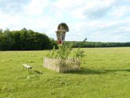 Лісна Велесниця з panoramio.com