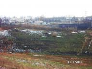 Миколаївка Перша з panoramio.com