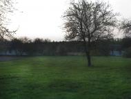 Гайове з panoramio.com