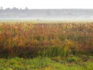 Рожаївка з panoramio.com