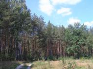 Грем'яче з panoramio.com