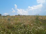 Звонецький Хутір з panoramio.com