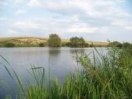 Домаморич з panoramio.com