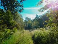 Грушківка з panoramio.com