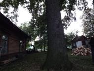 Антонівка з panoramio.com