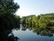 Вільха з panoramio.com