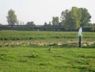 П'ятидні з panoramio.com