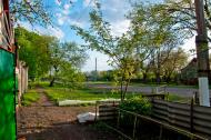 Миколаївка Перша з panoramio.com