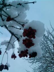 Волиця з panoramio.com