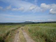 Дивне з panoramio.com